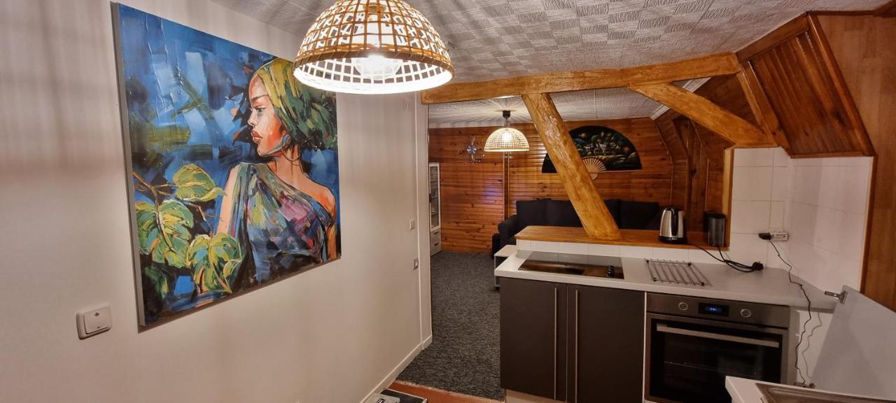 Chambre Privee Numero 1 Dans Un Superbe Appartement En Colocation Montataire Exterior photo